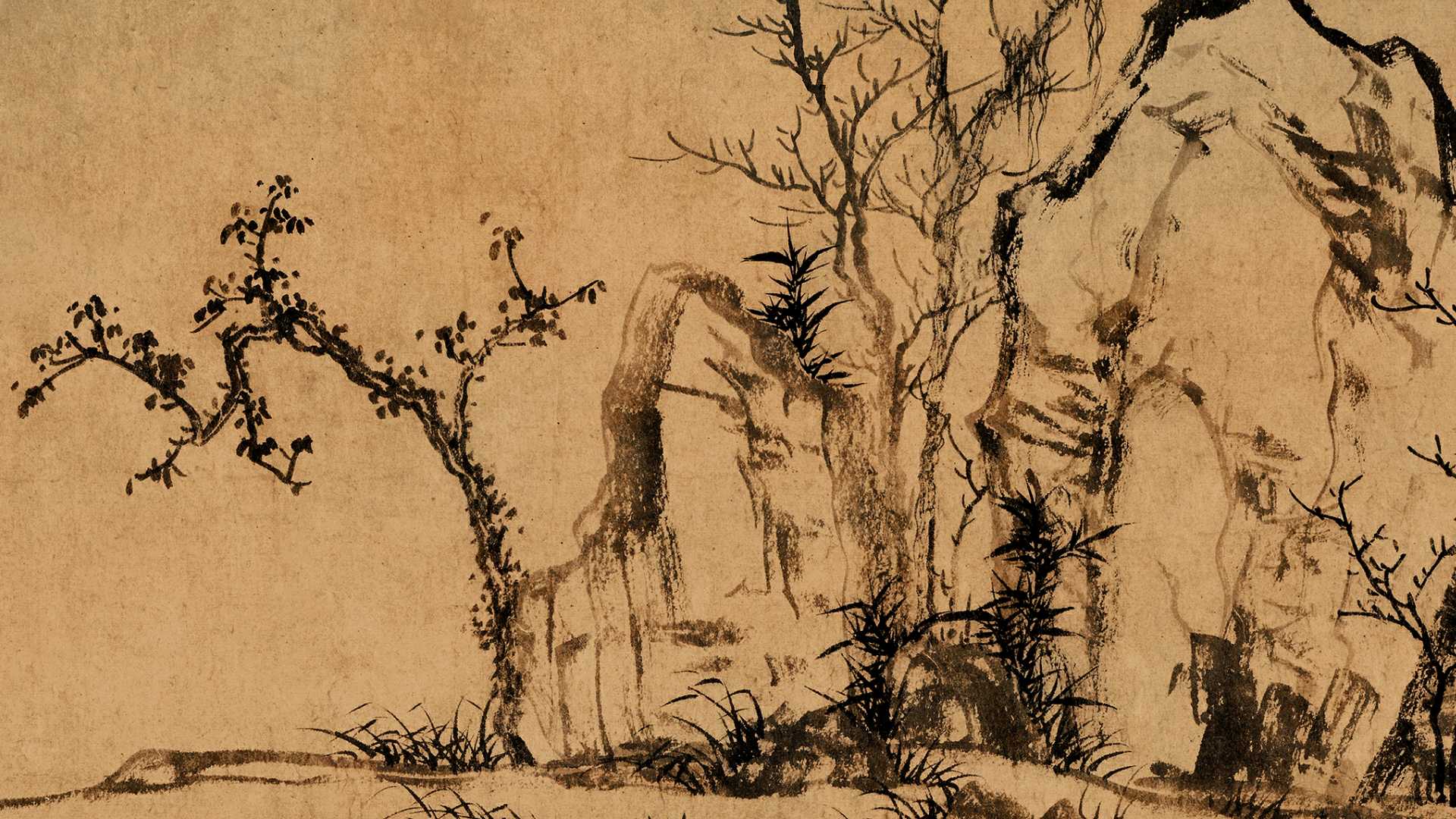 赵