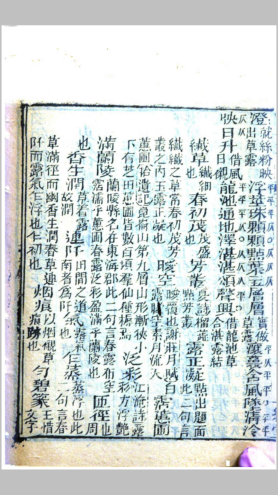 今唐