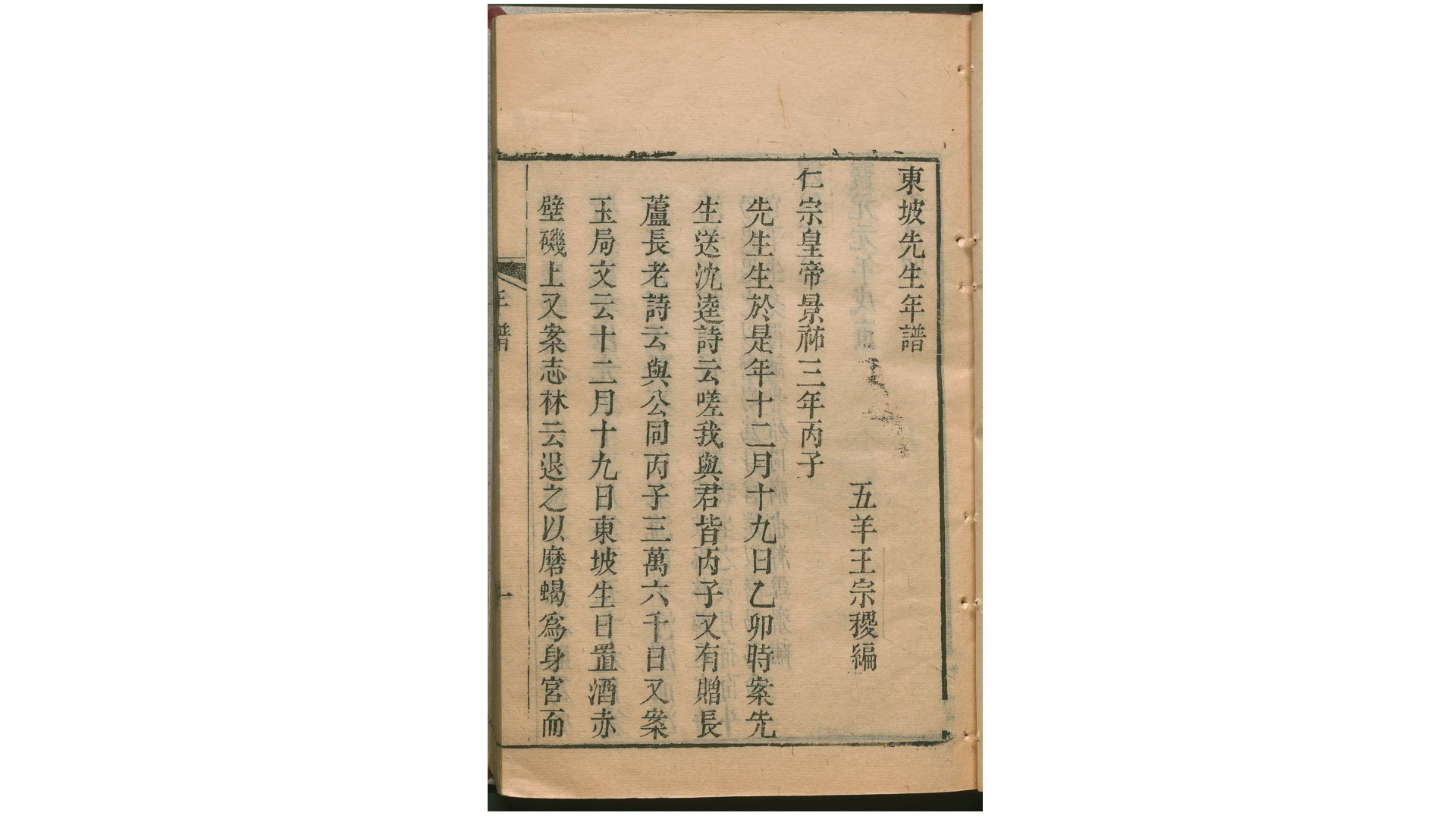 东坡