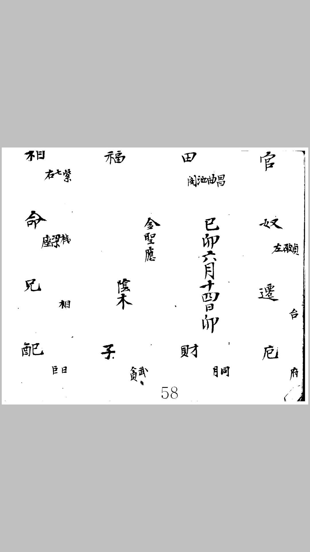 紫