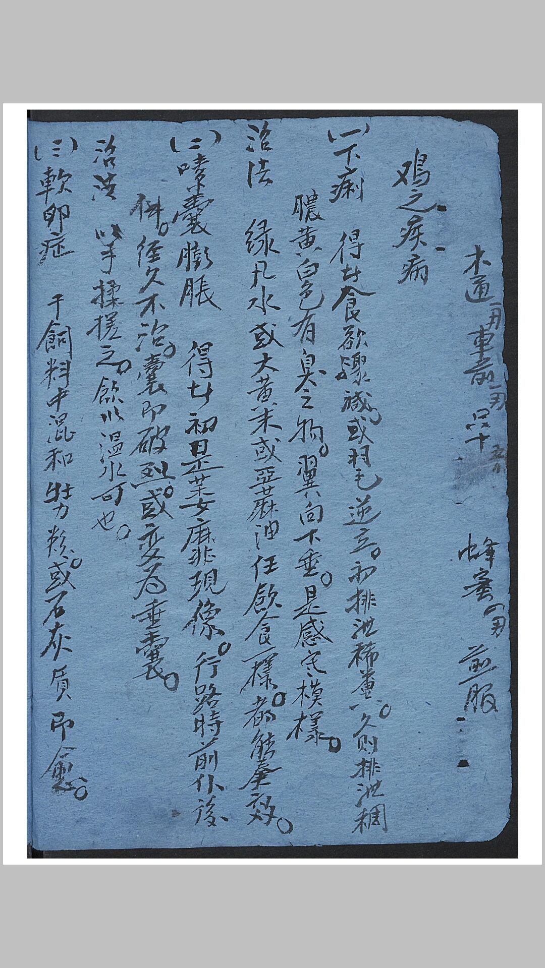 牲口