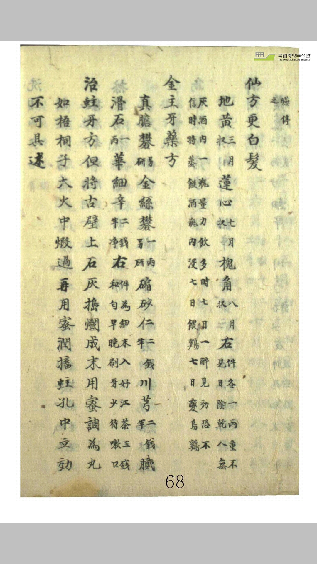 赵