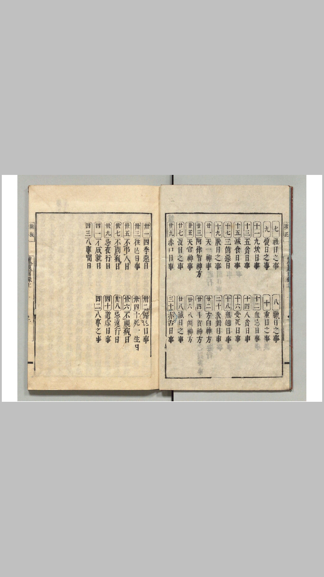 玉兔