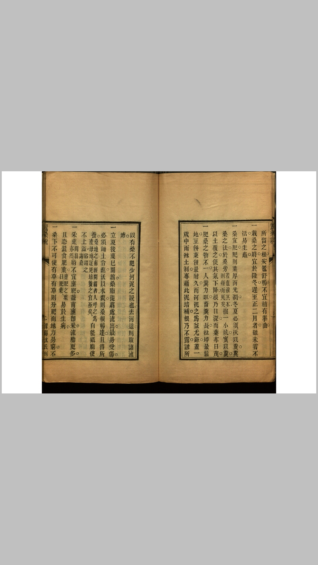 蚕说
