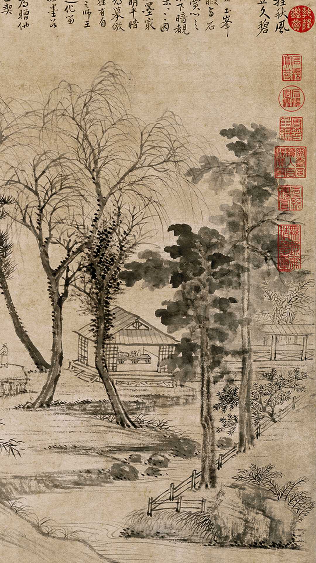 黑白画