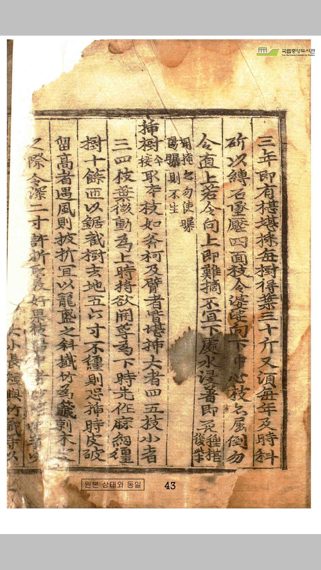 四时