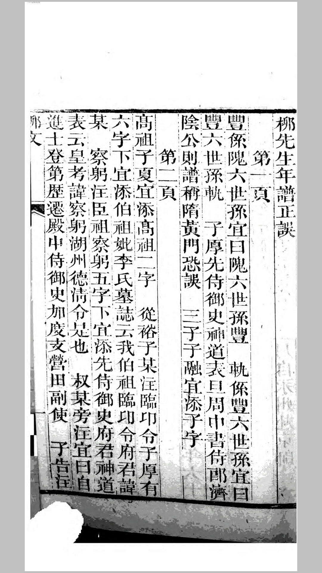 柳文
