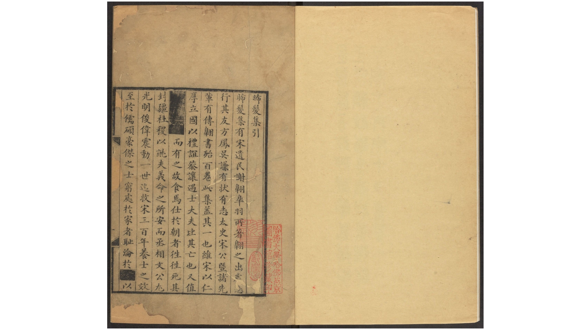 集