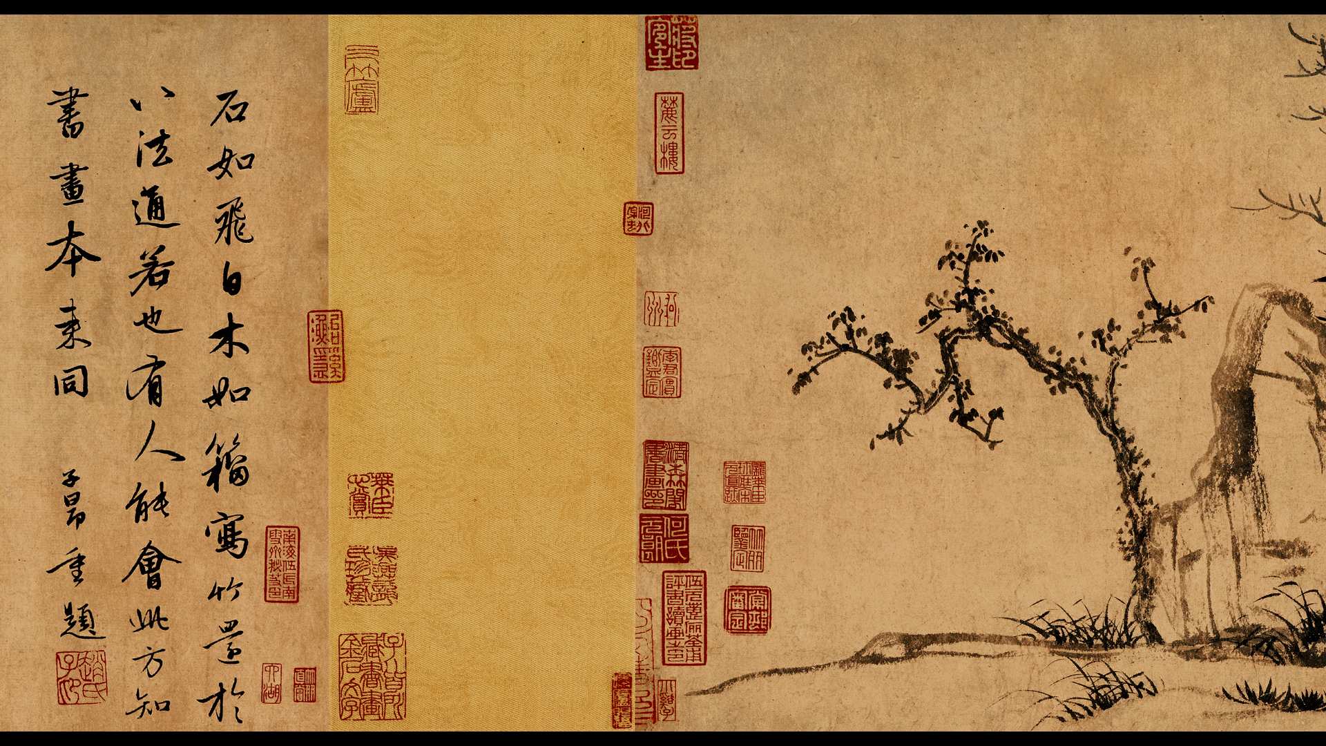 赵
