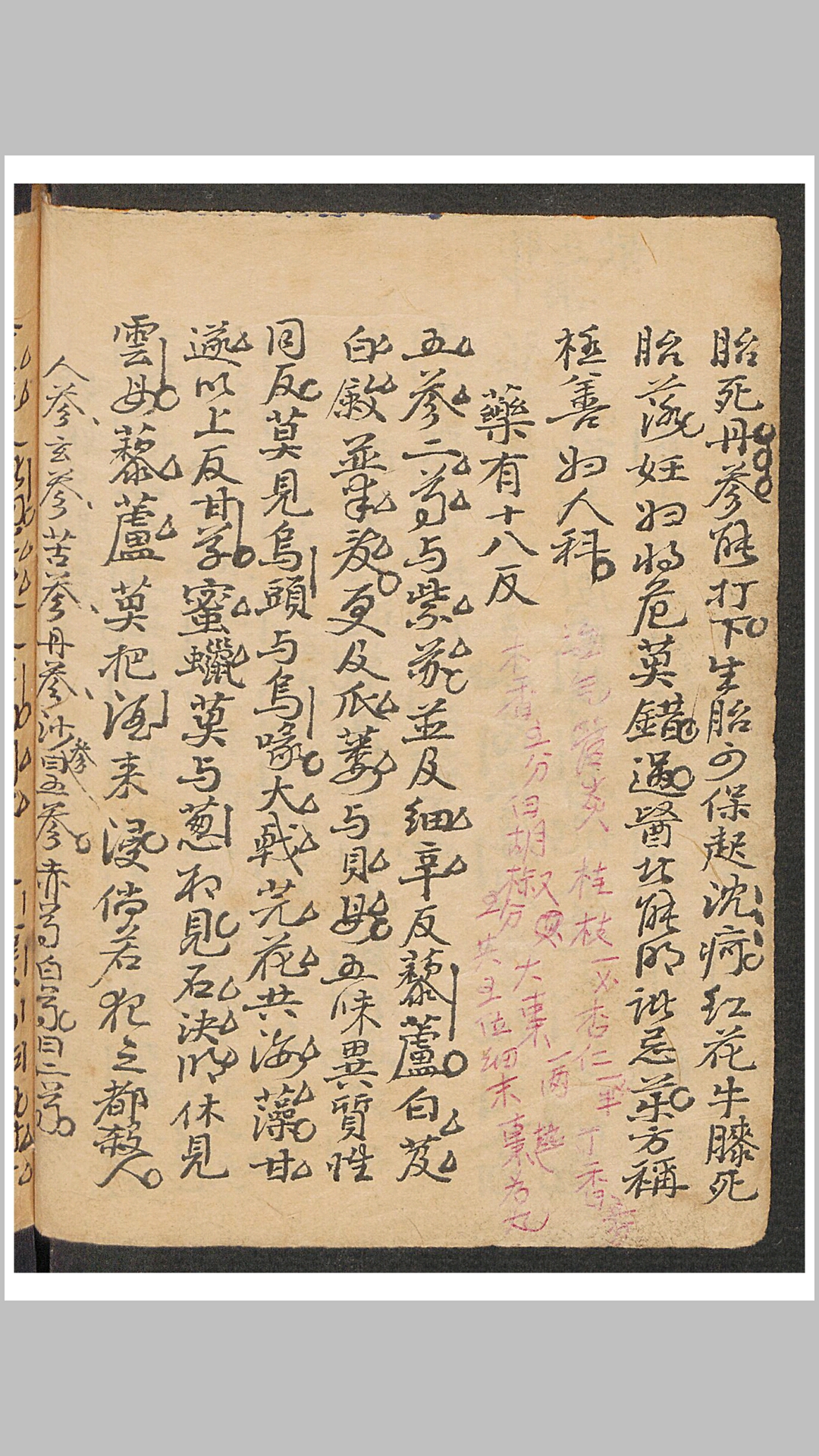 寿