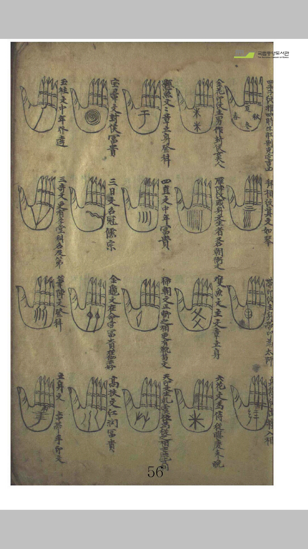 麻衣
