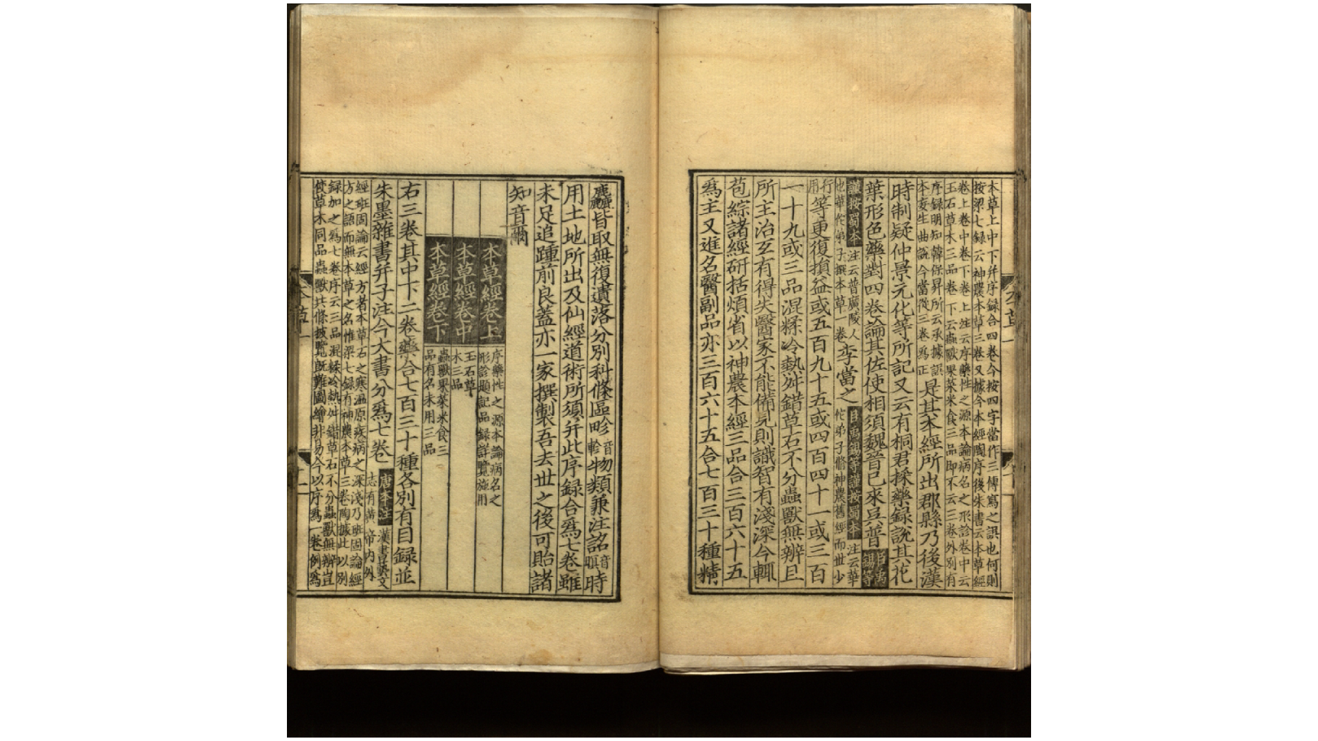本草