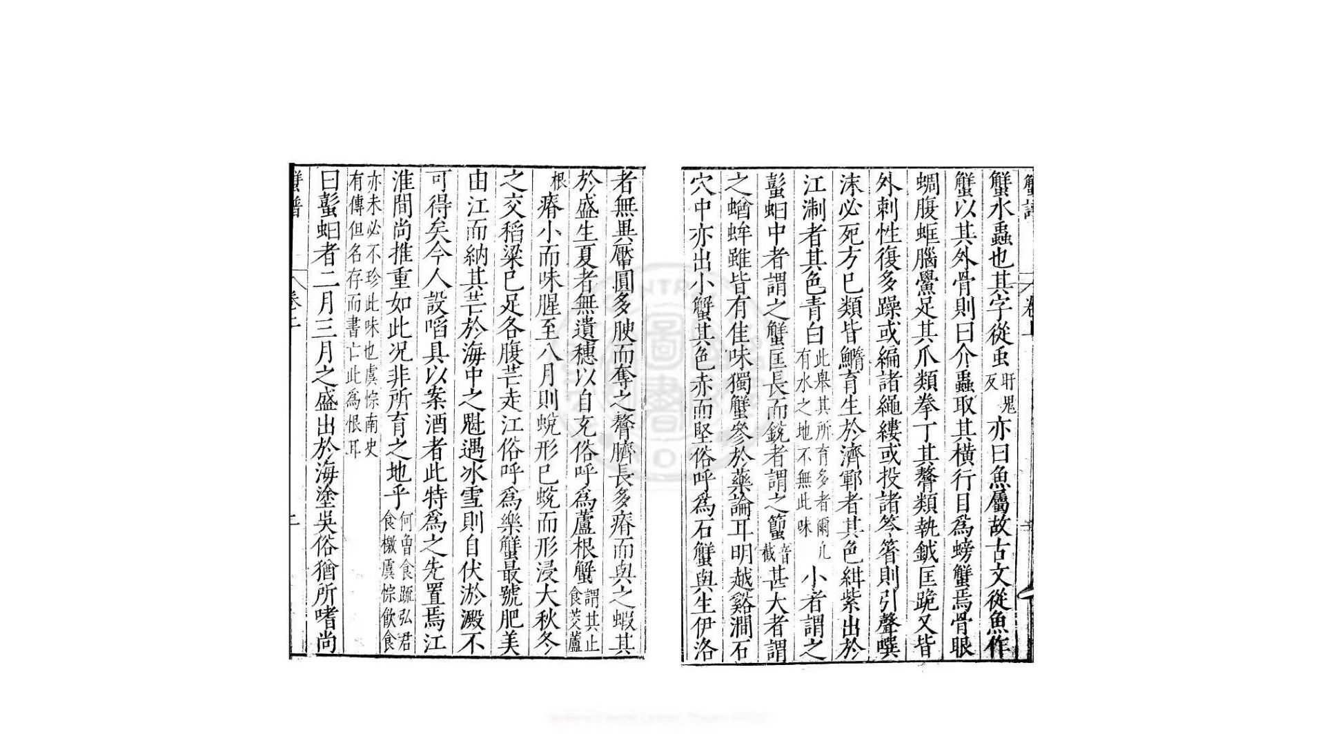 螃蟹