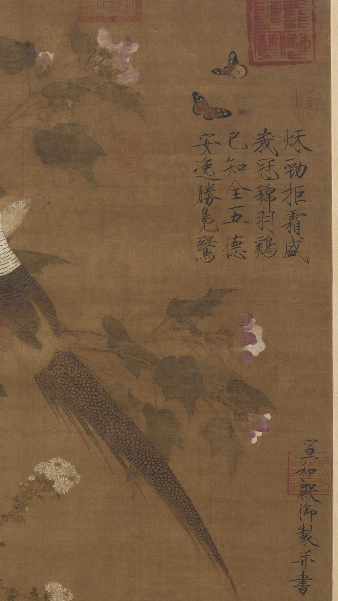 鸡