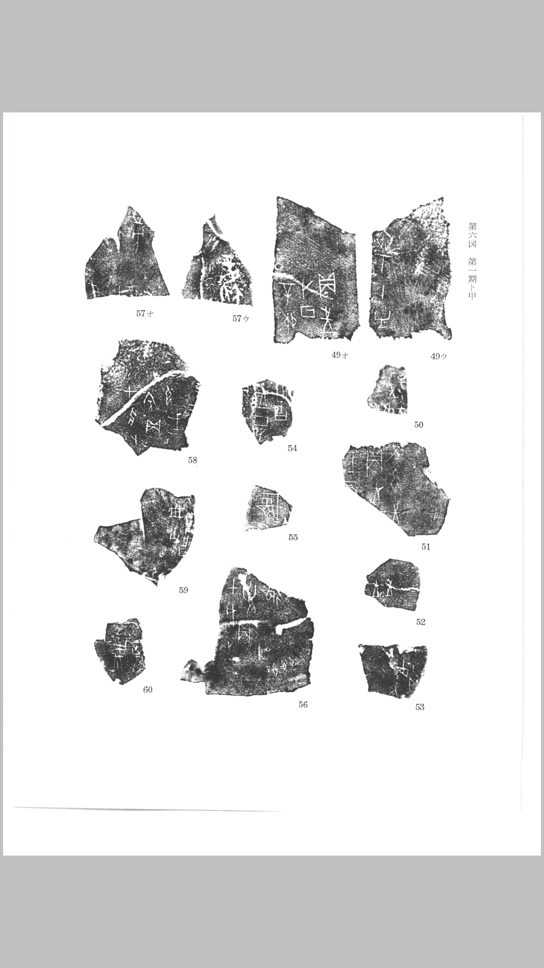 甲骨