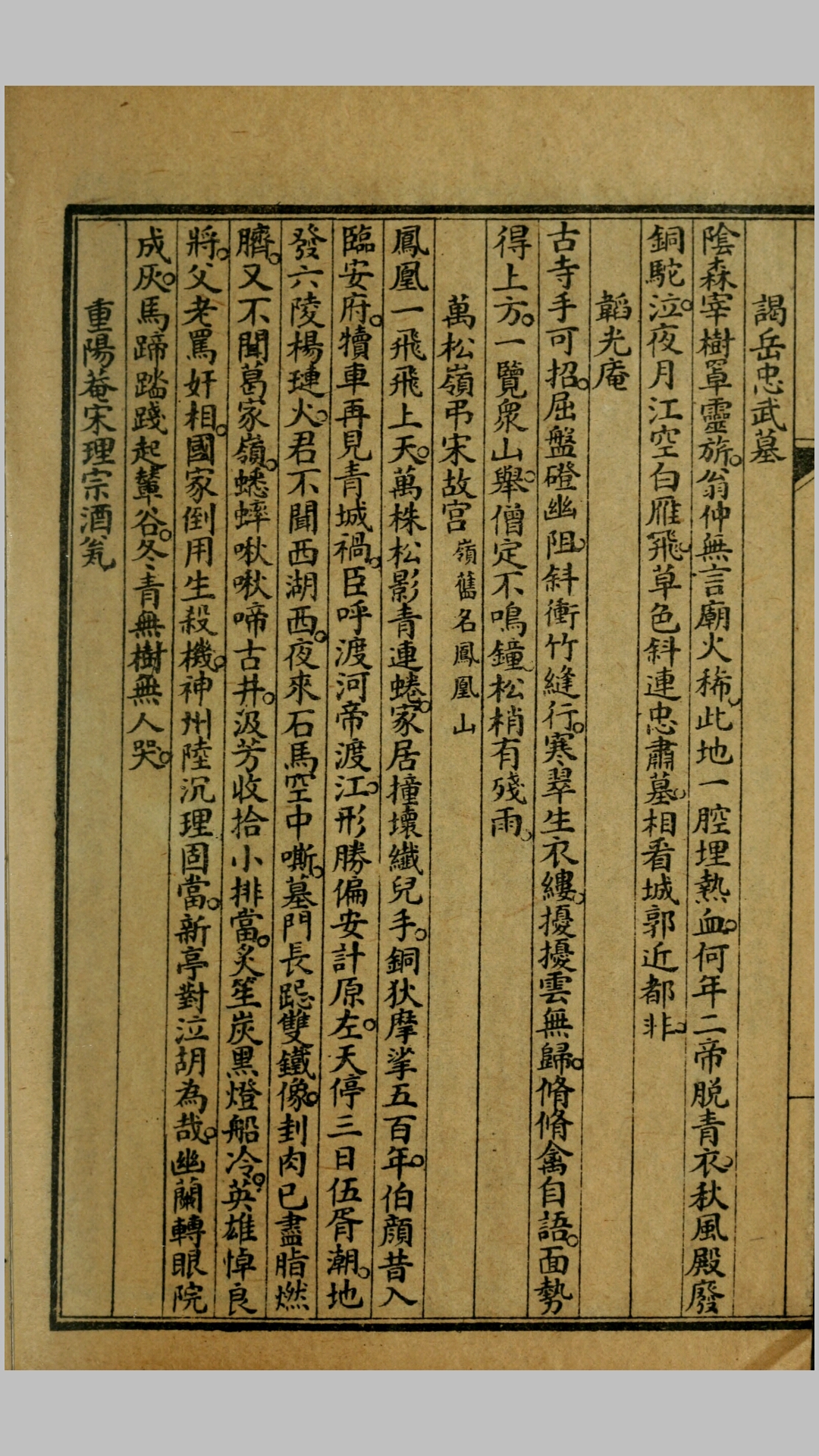 海
