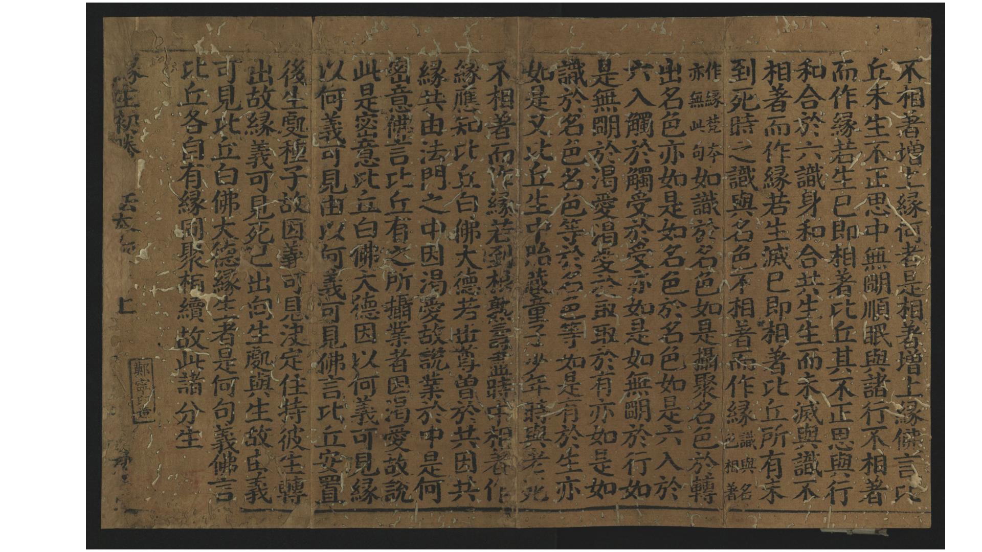 出生