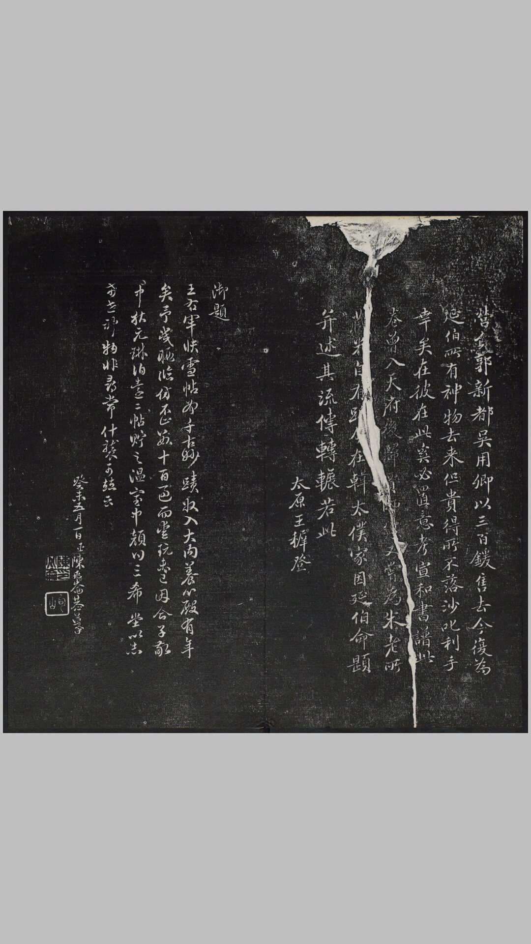 紫竹