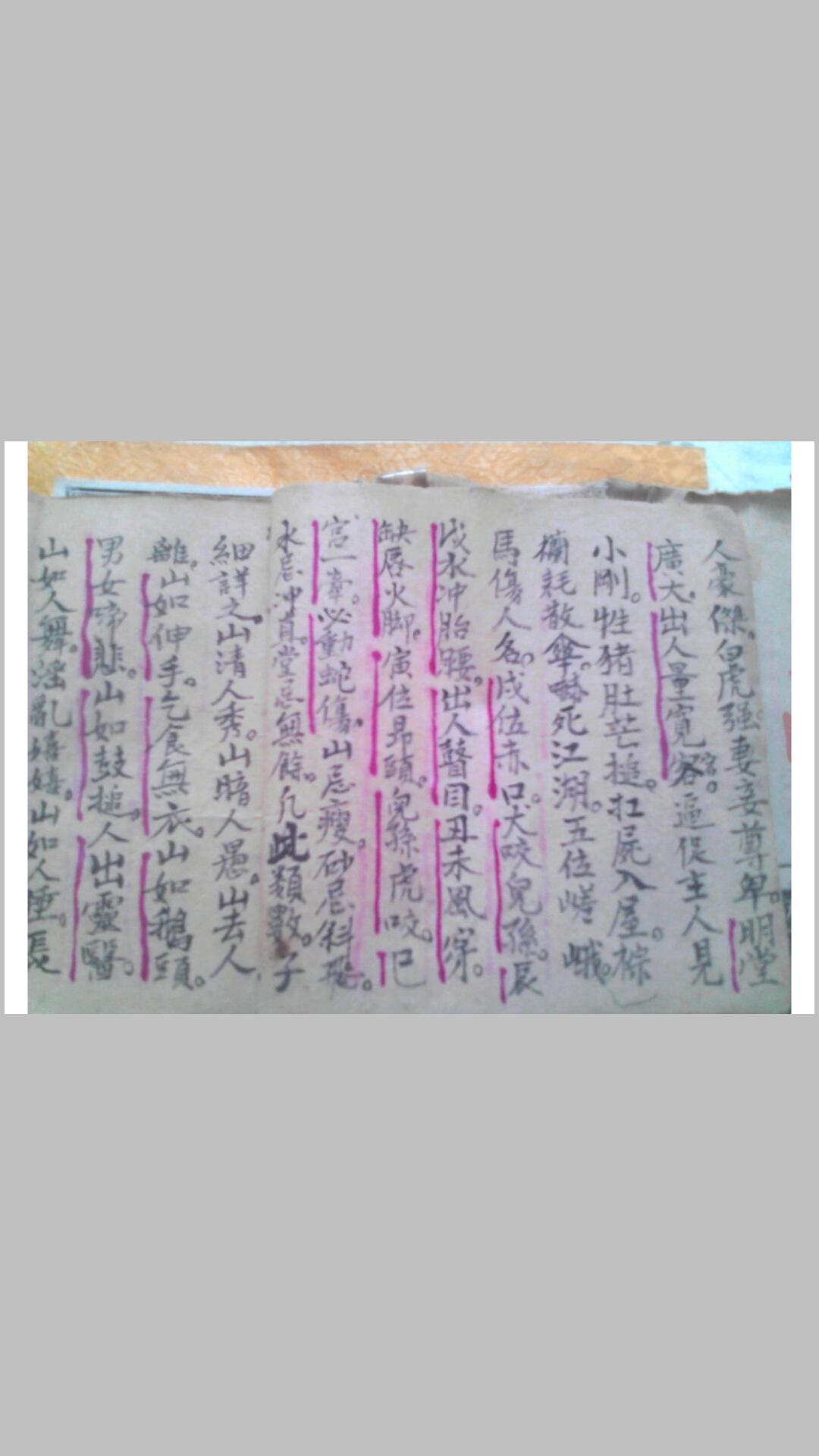 龍