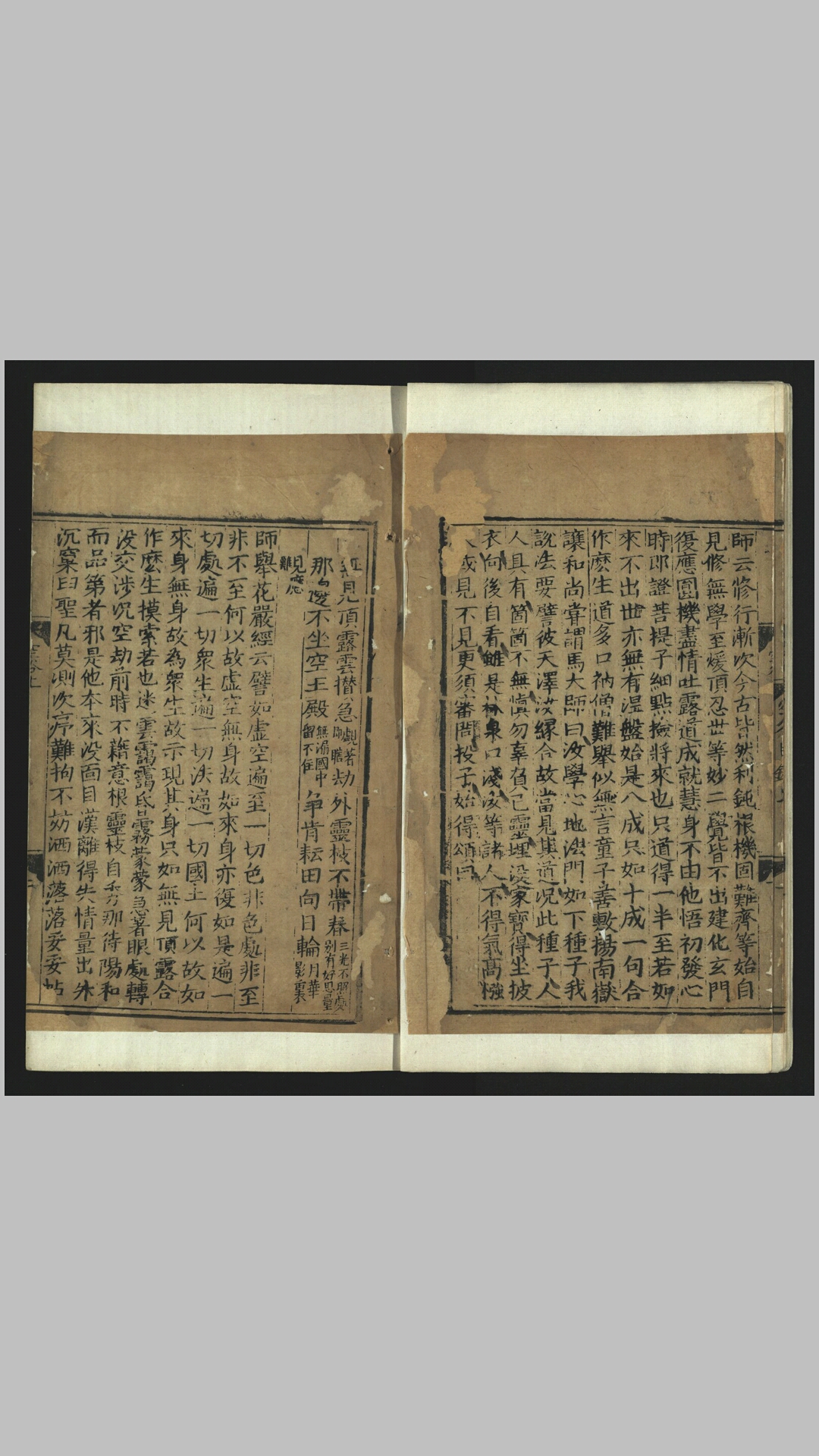 林
