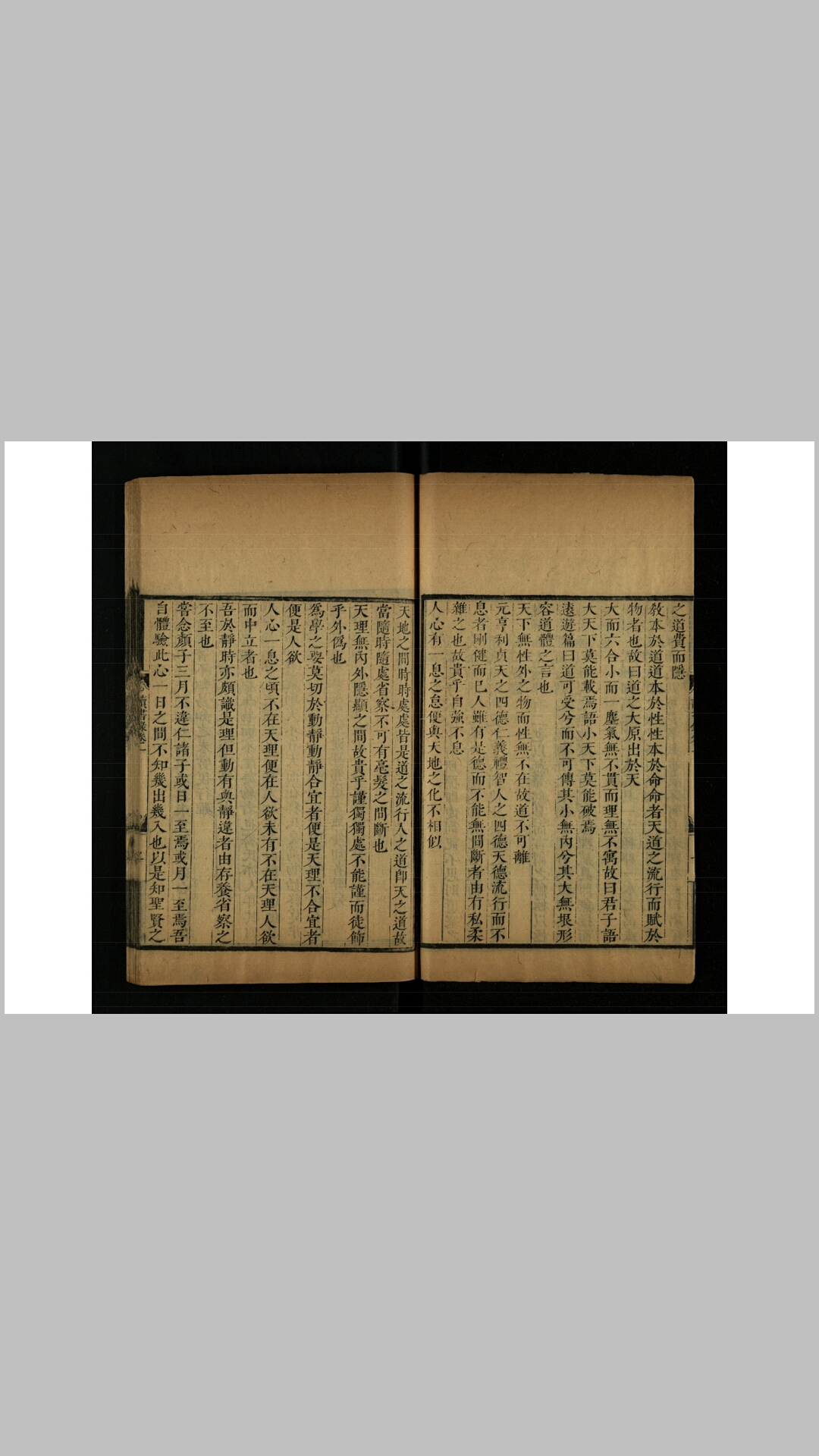 薛