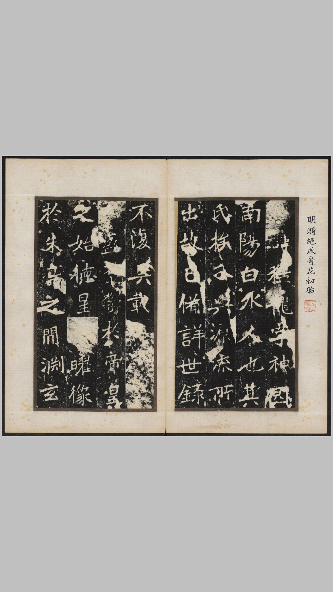 龙