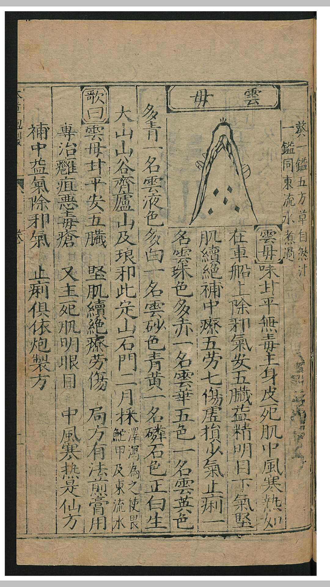 药性