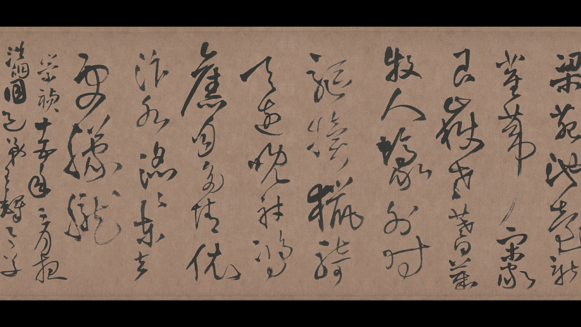 王泽