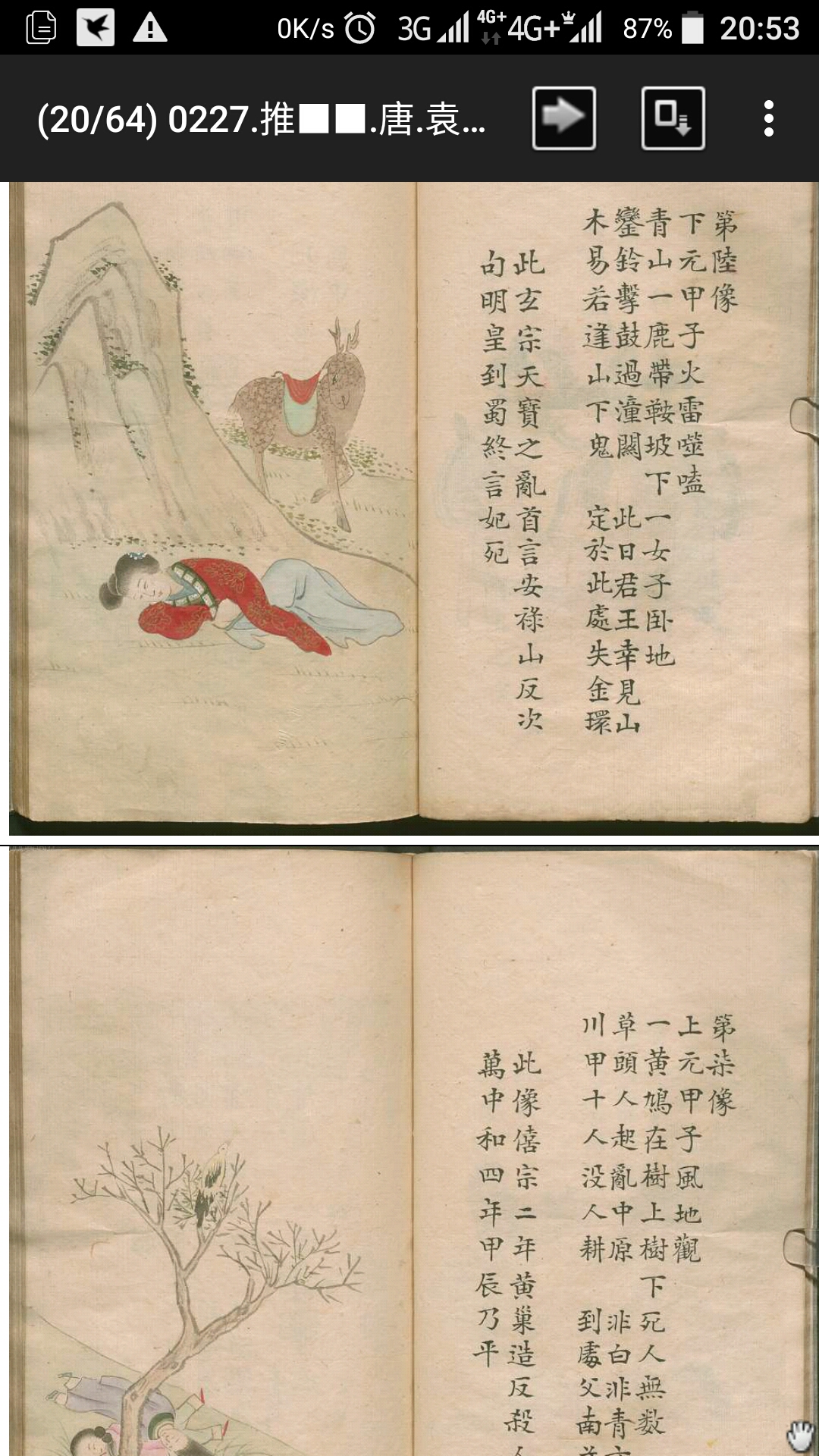 背