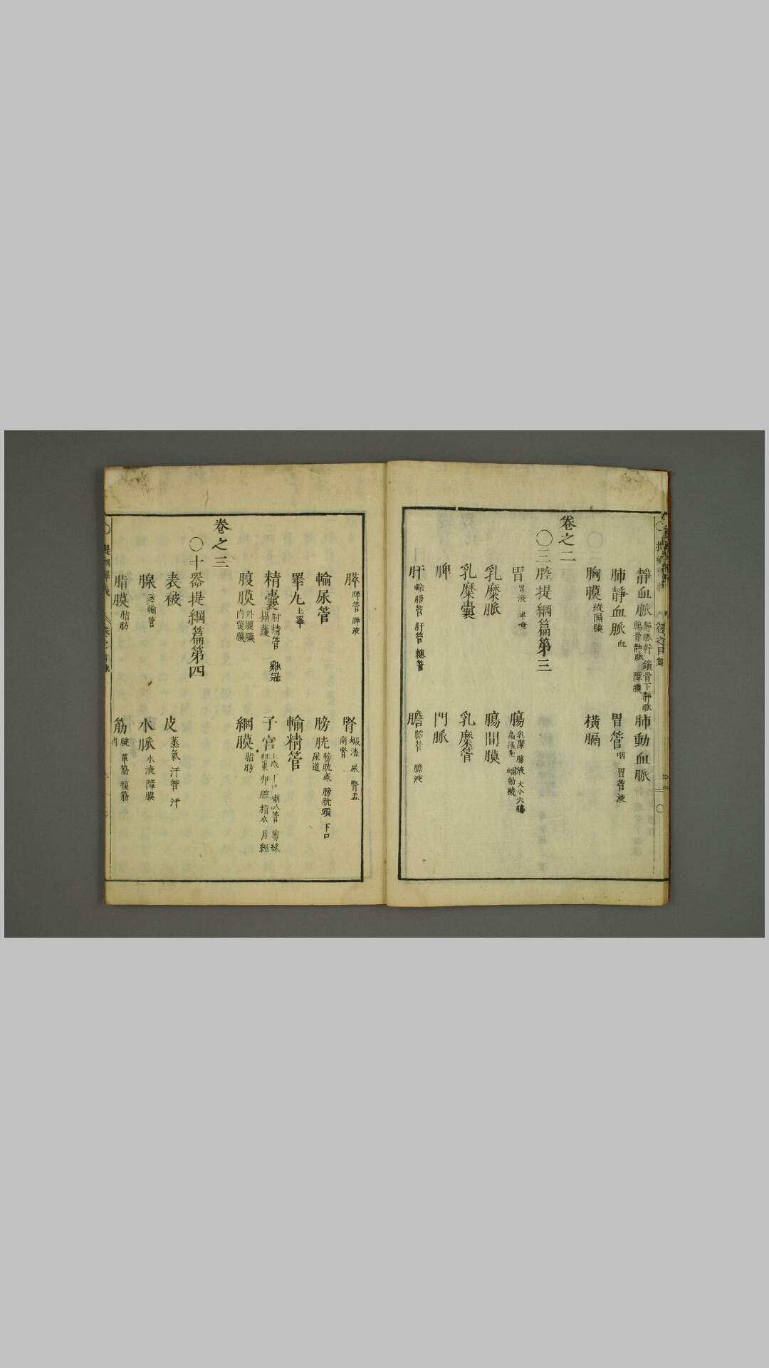 医