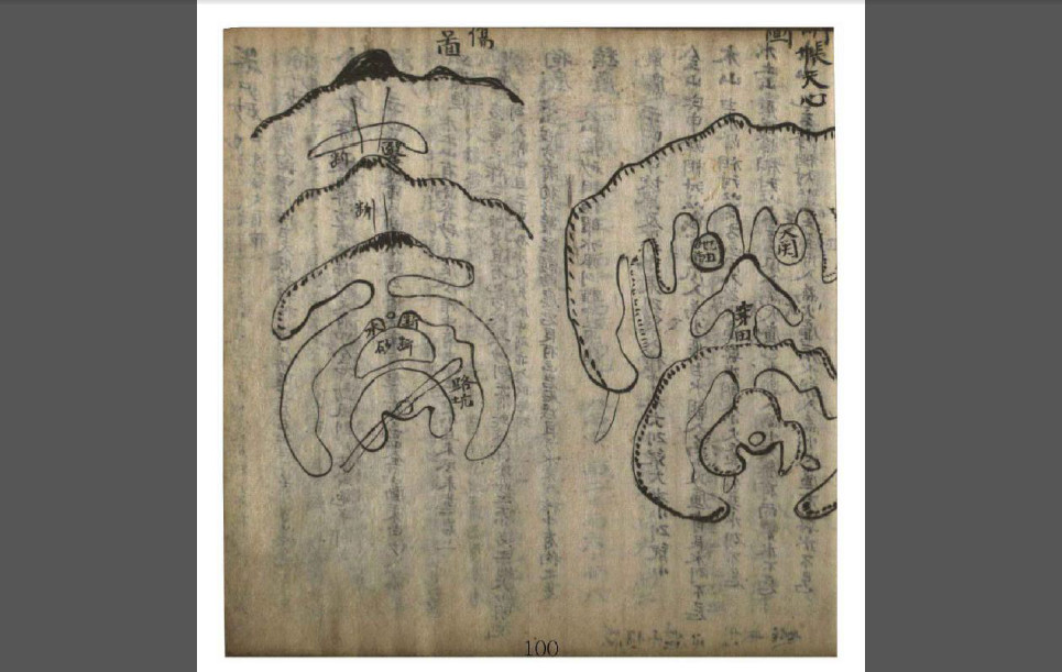 龙髓