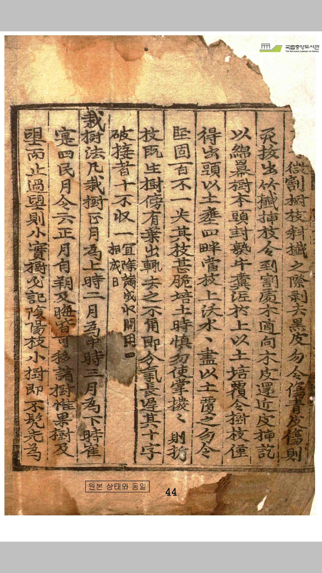 四时