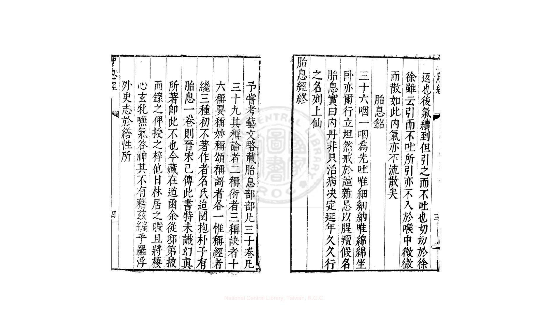 胎