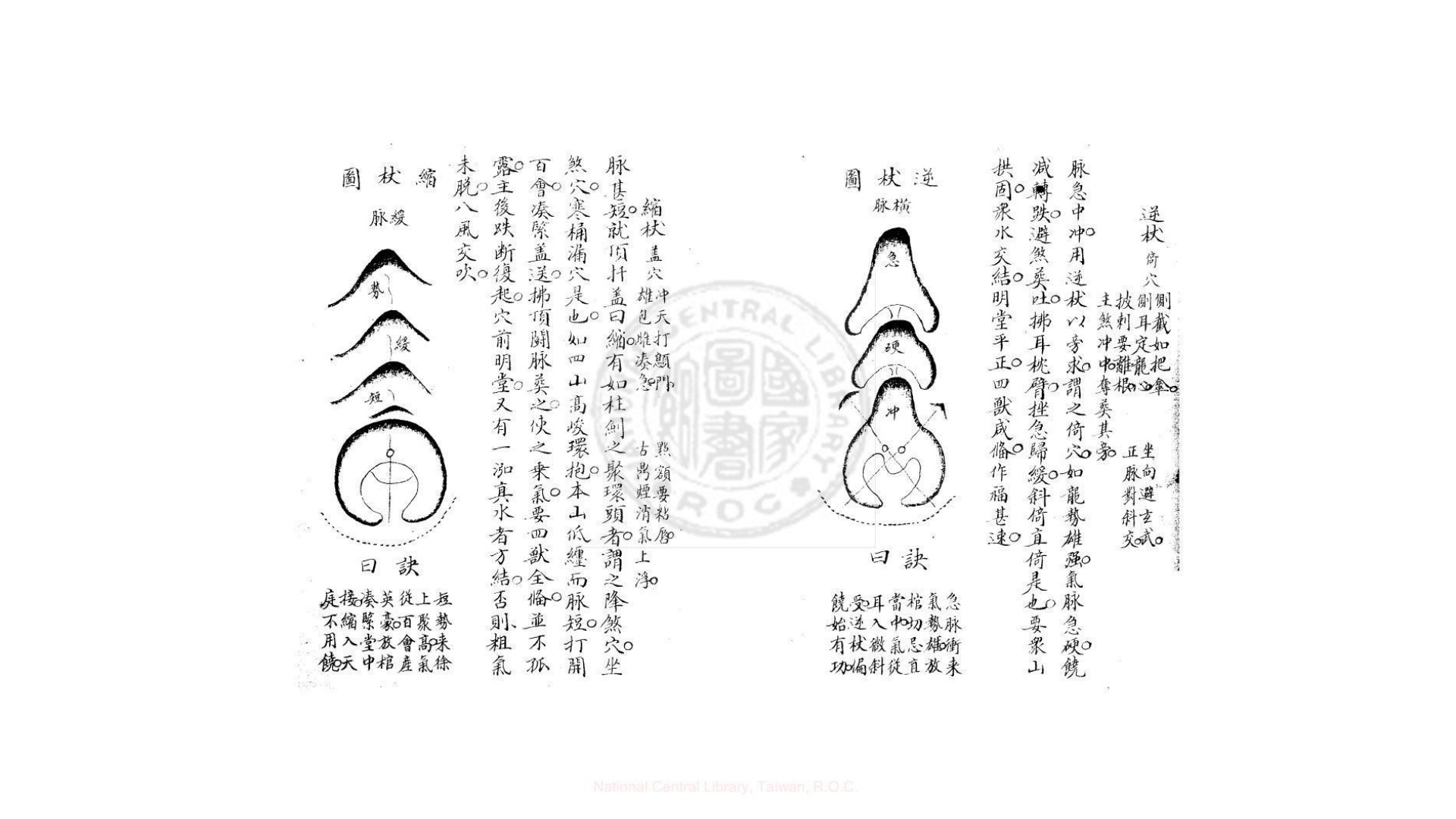 杨公