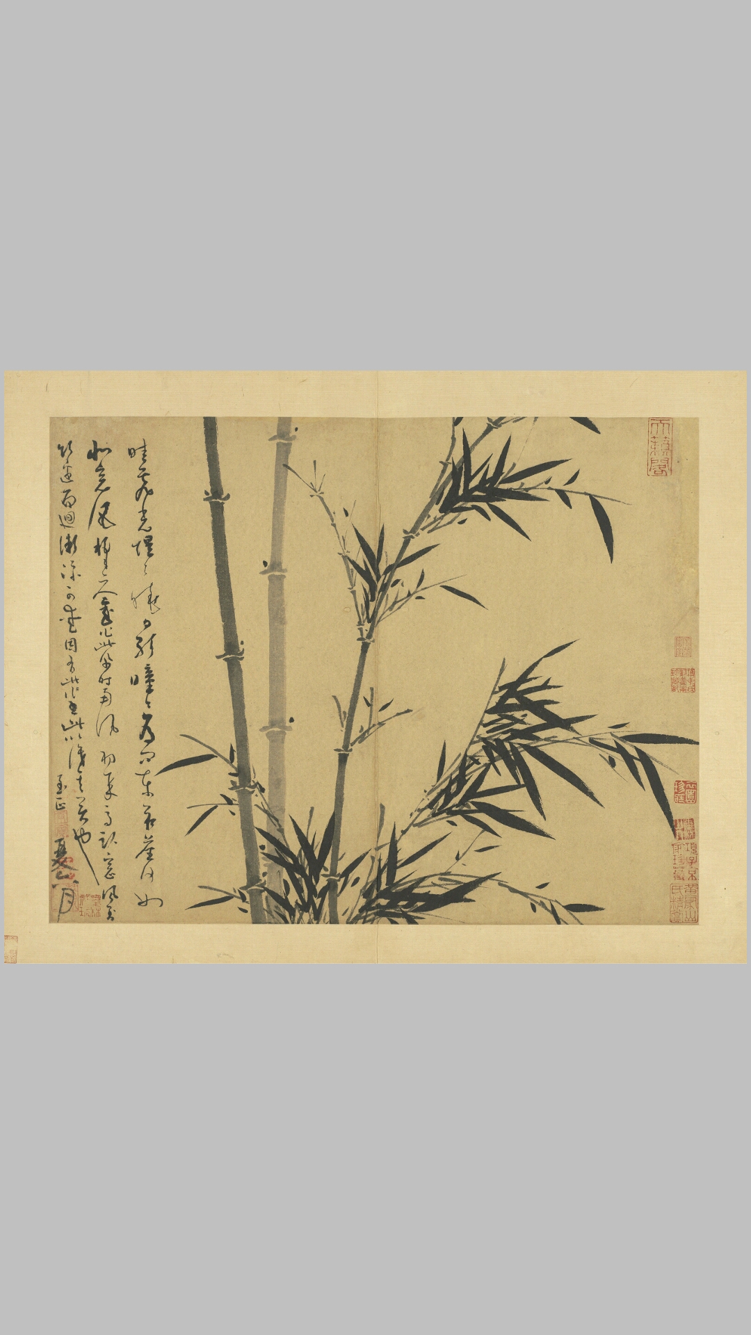图