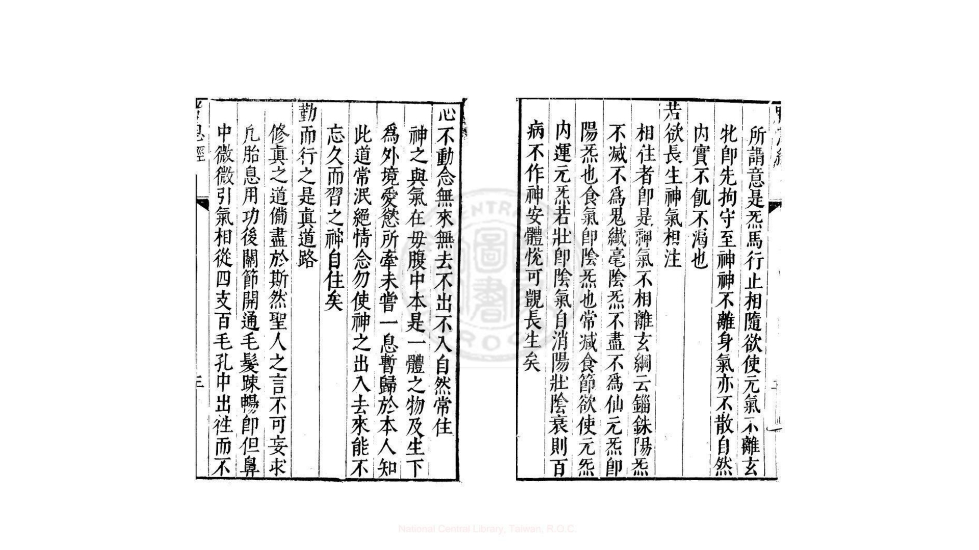 胎