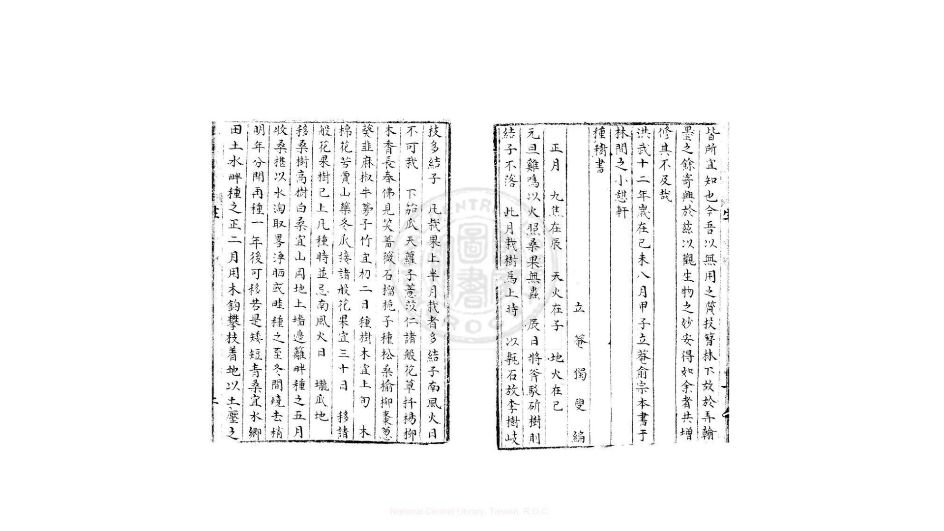 种树