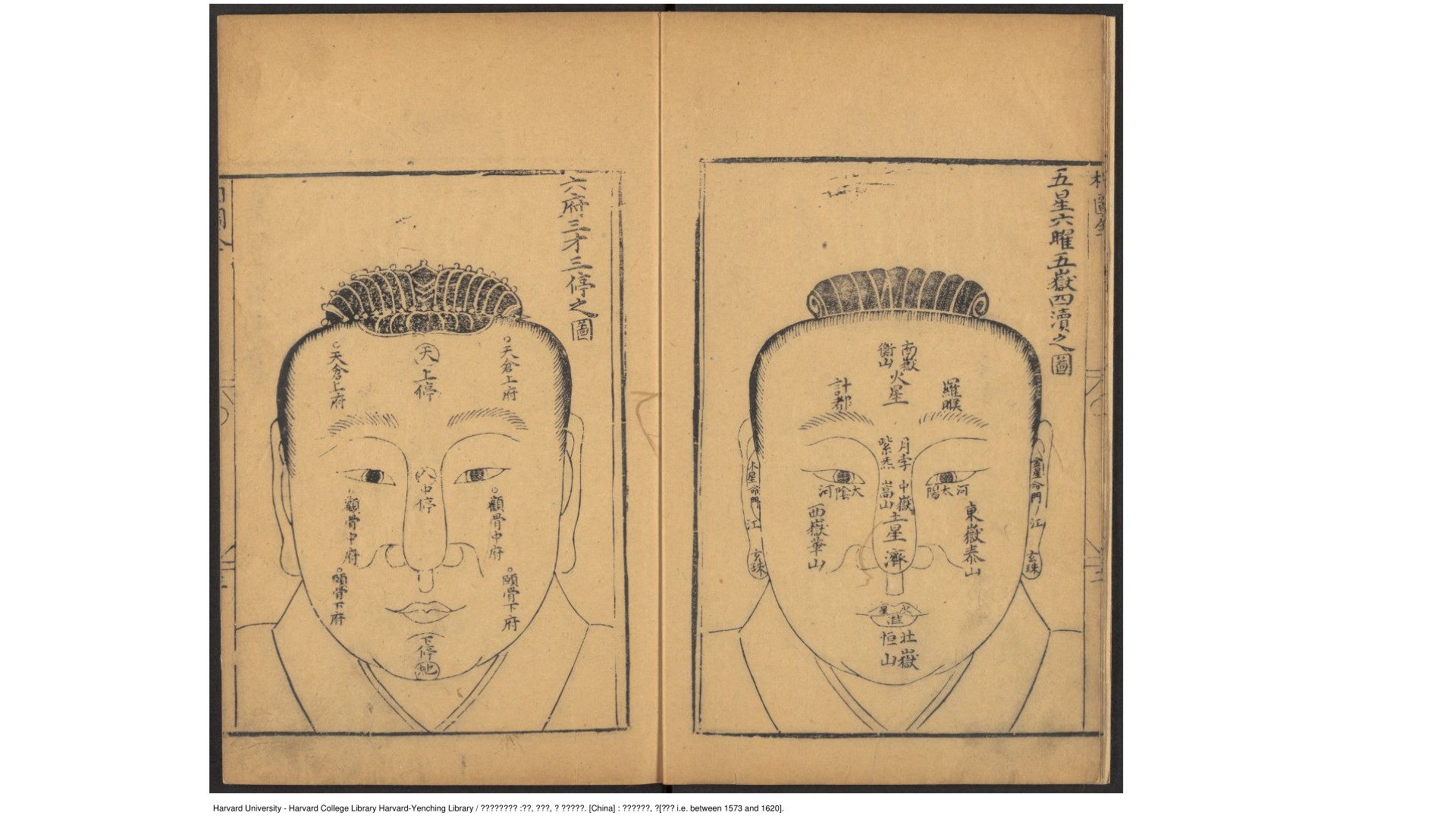 麻衣