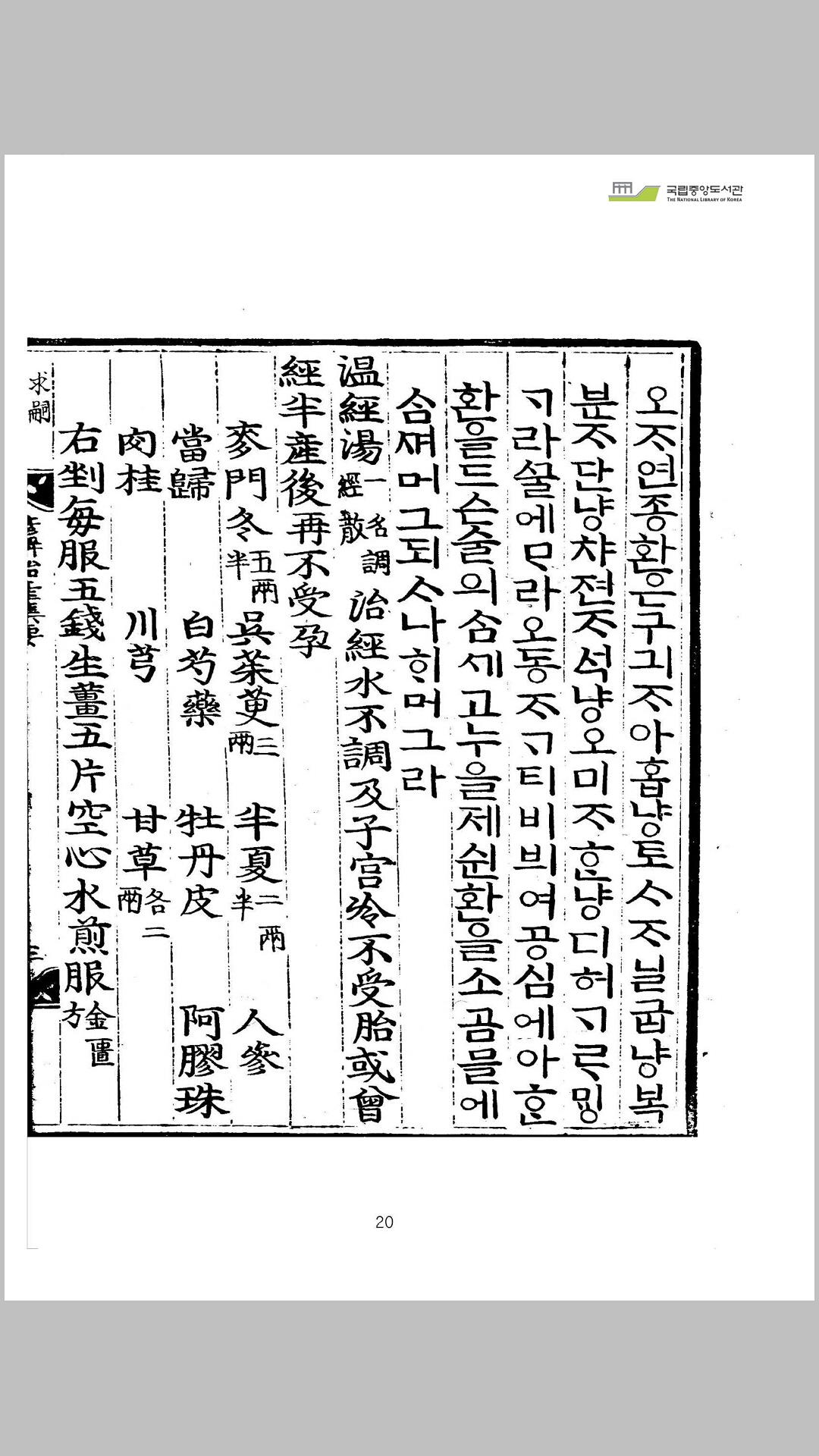 胎