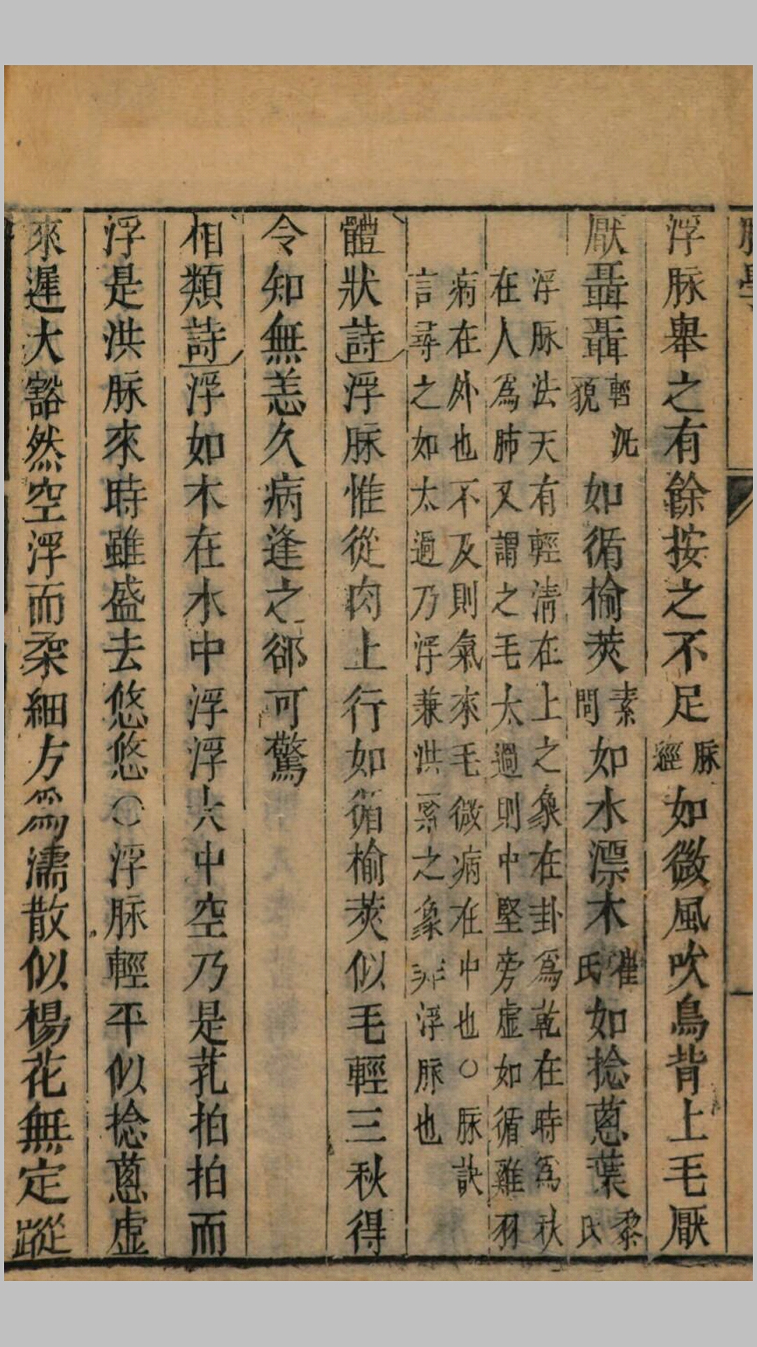 脉学