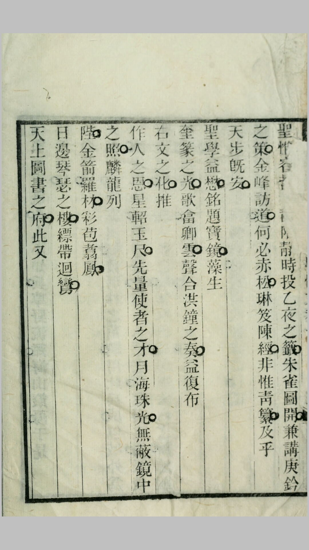 体文