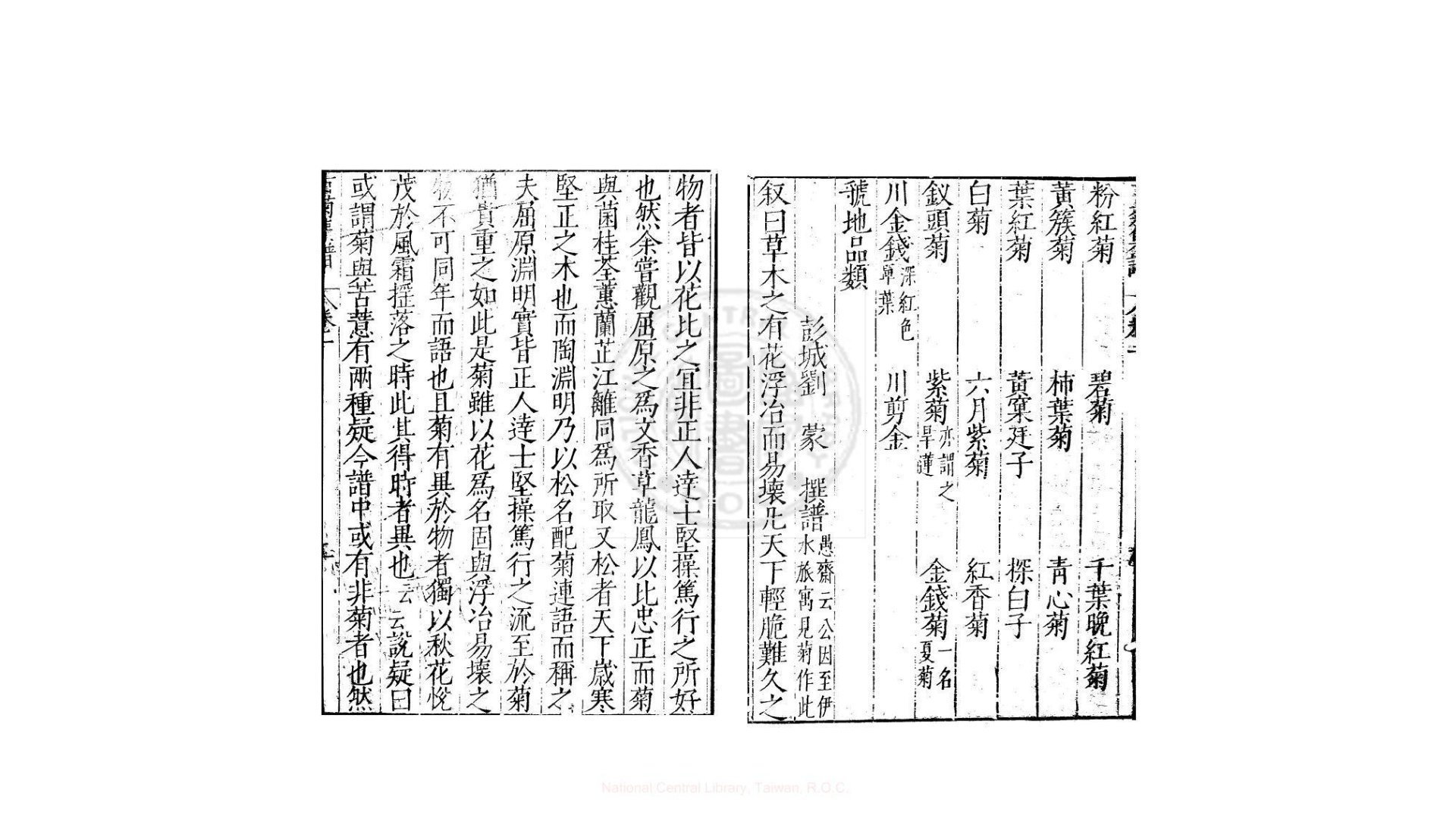 菊花
