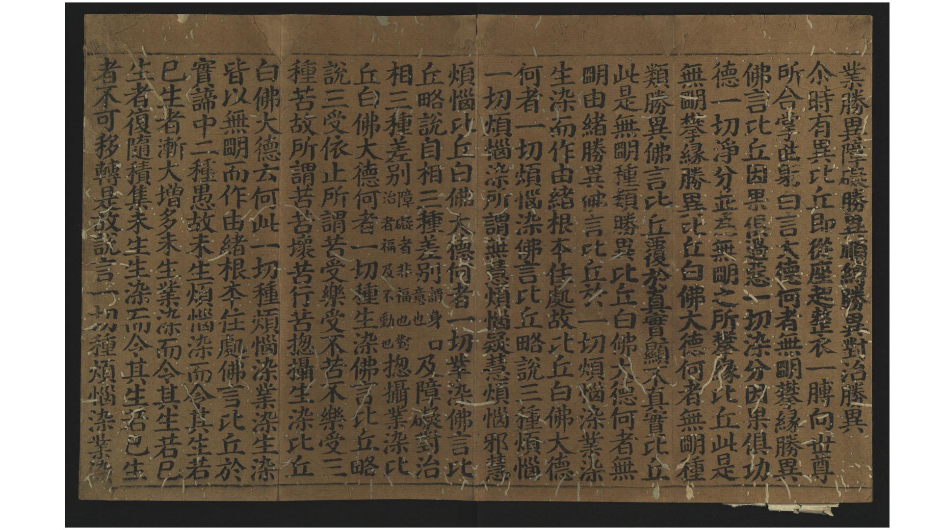 出生