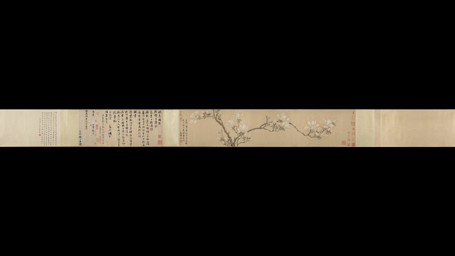 画