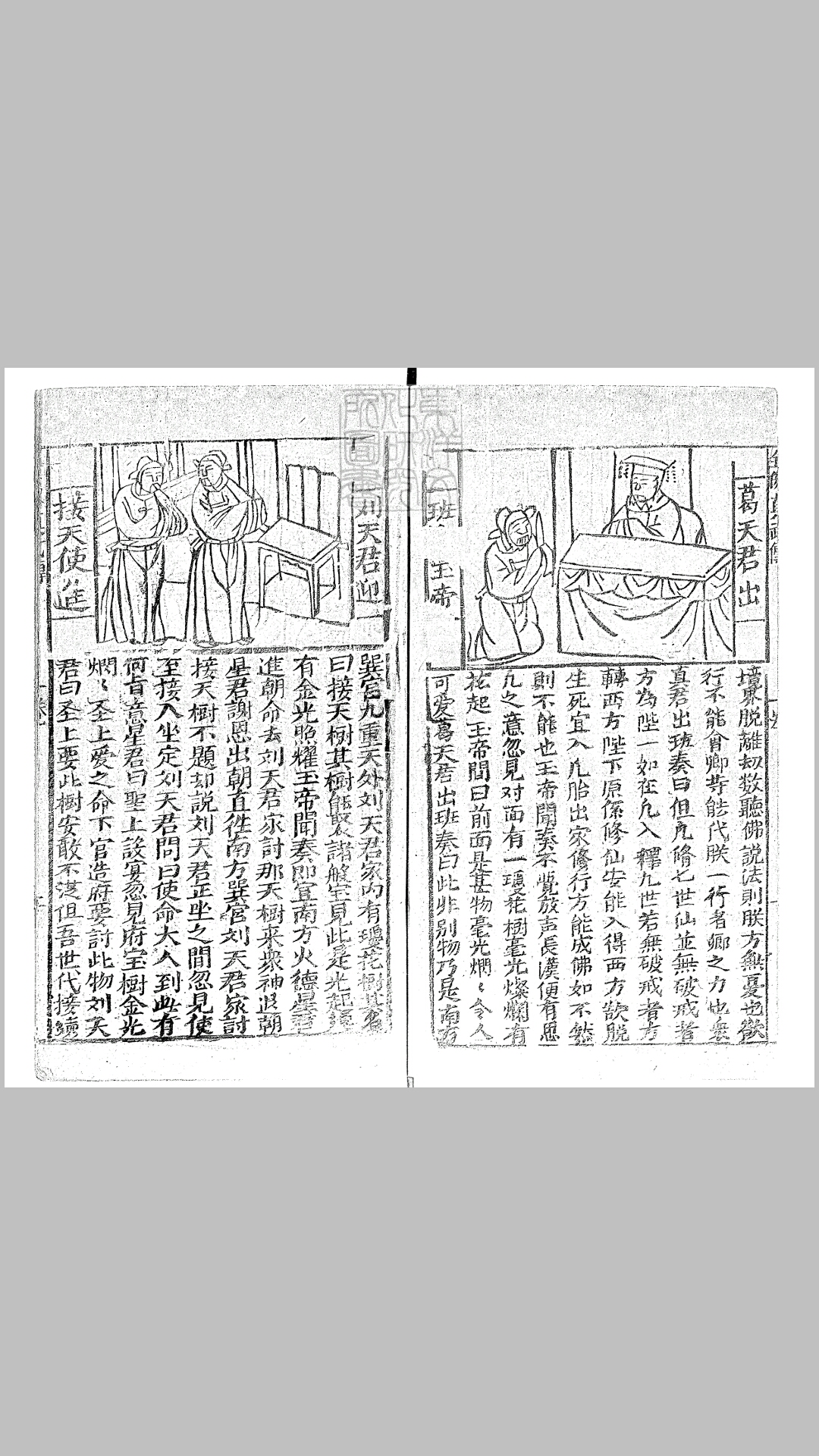 志
