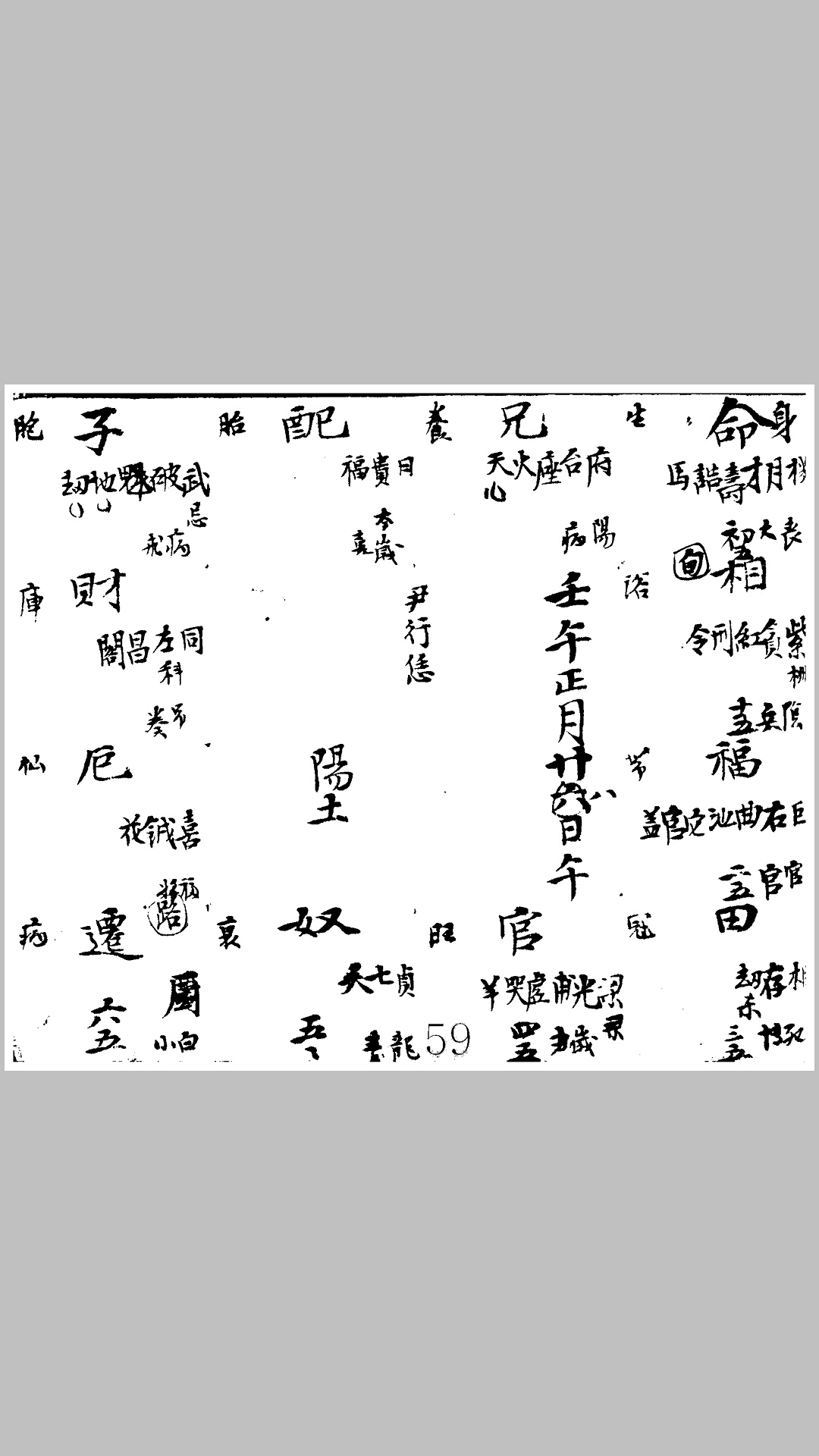 紫