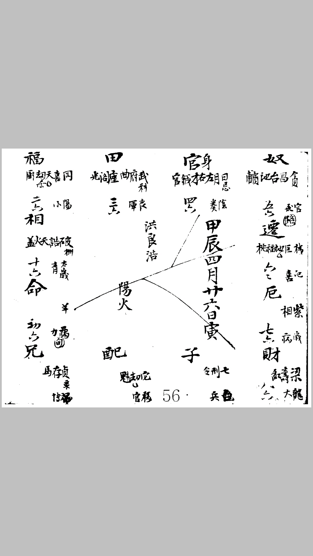 紫