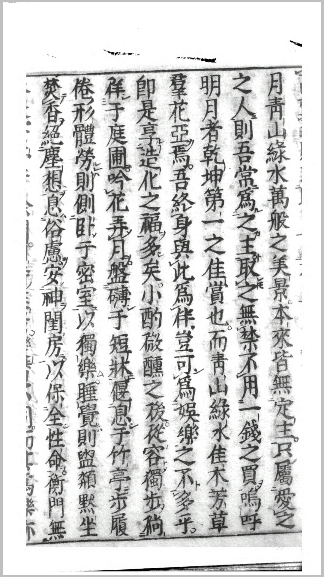 自娱