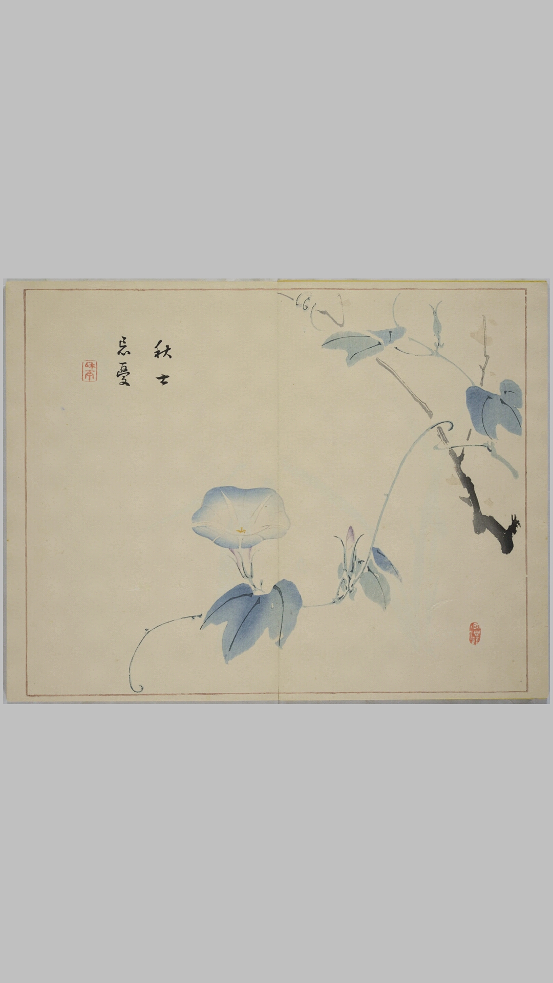 画