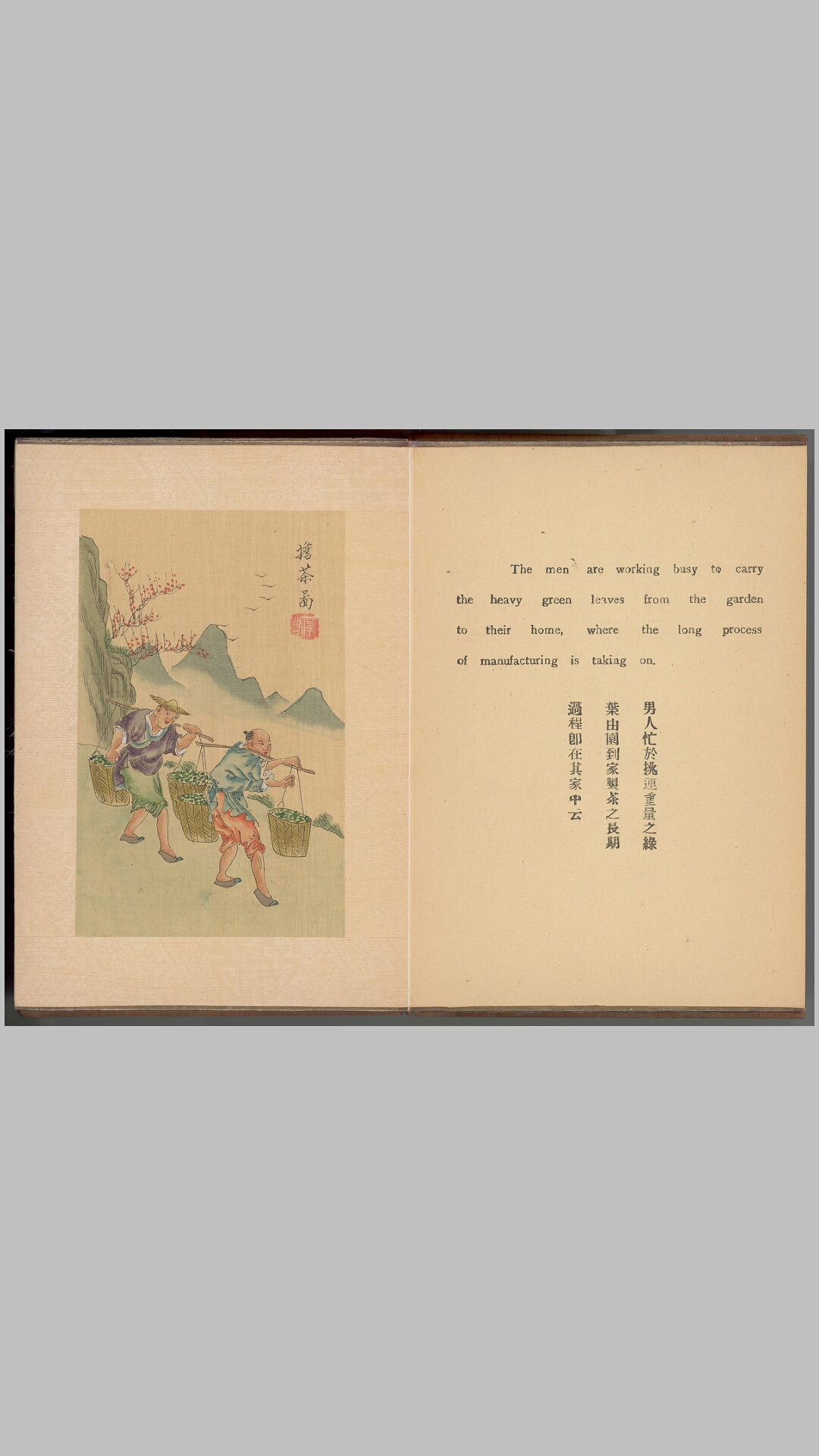 茶